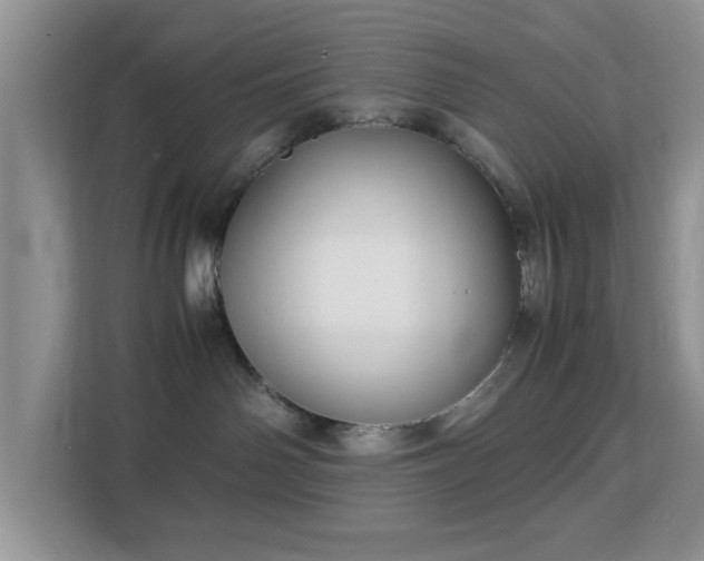 X0000113140142200909110941