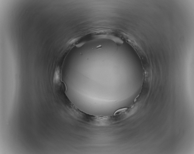 X0000113140143200909110941