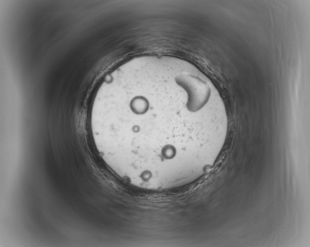 X0000113140146200909110941