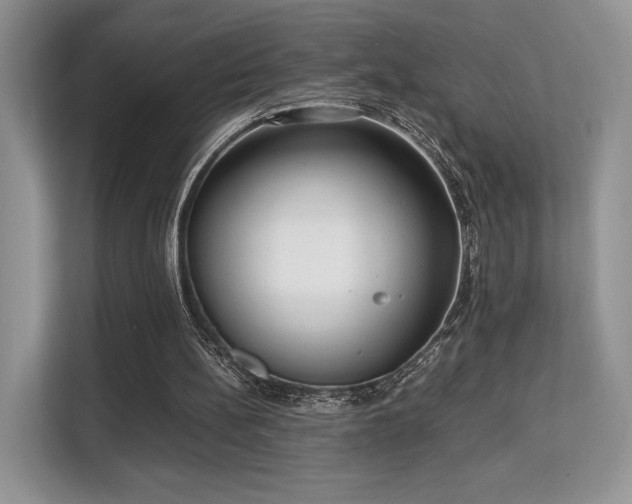 X0000113140148200909110941