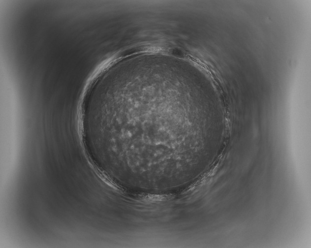 X0000113140149200909110941