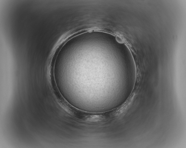 X0000113140151200909110941