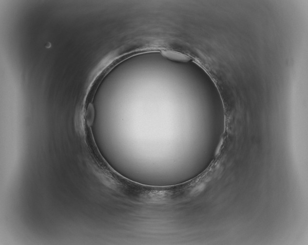 X0000113140152200909110941