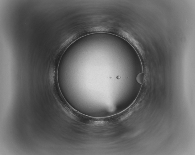 X0000113140153200909110941