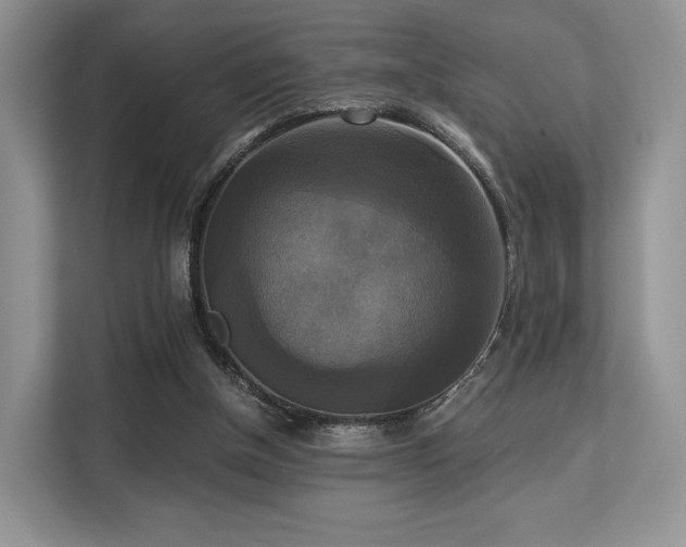 X0000113140154200909110941