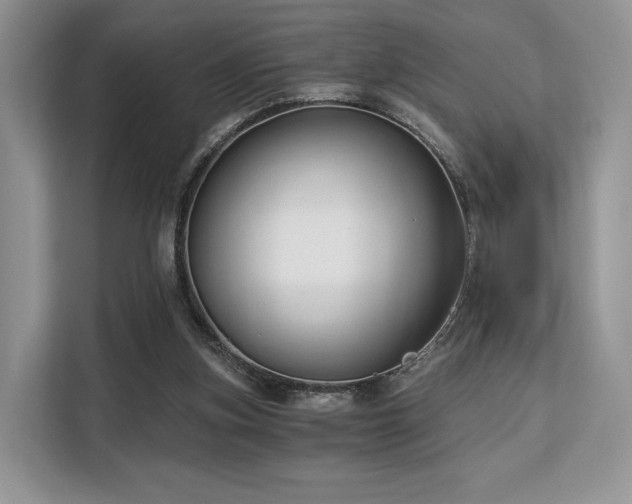 X0000113140155200909110941