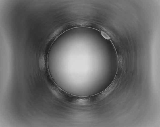 X0000113140158200909110941