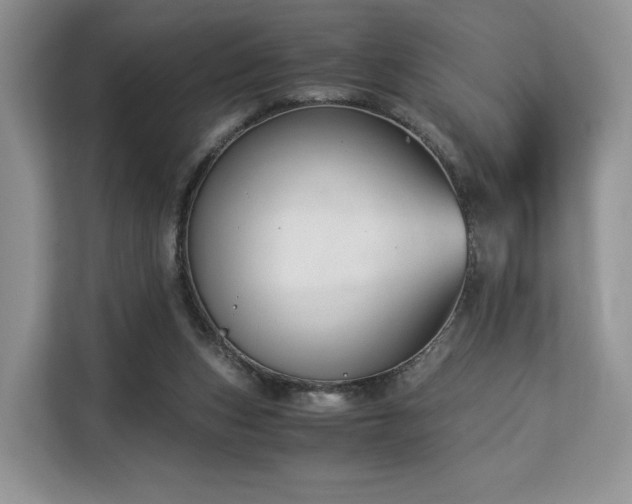 X0000113140159200909110941