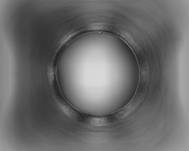 X0000113140160200909110941