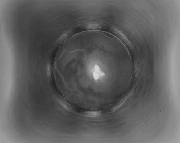 X0000113140161200909110941