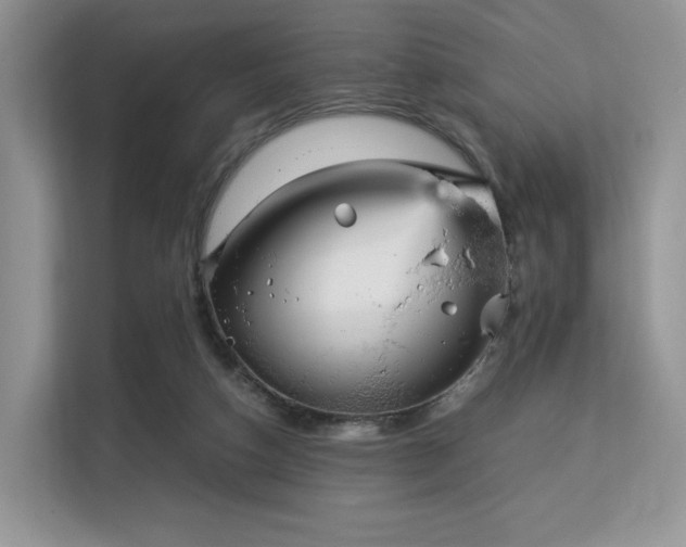 X0000113140162200909110941