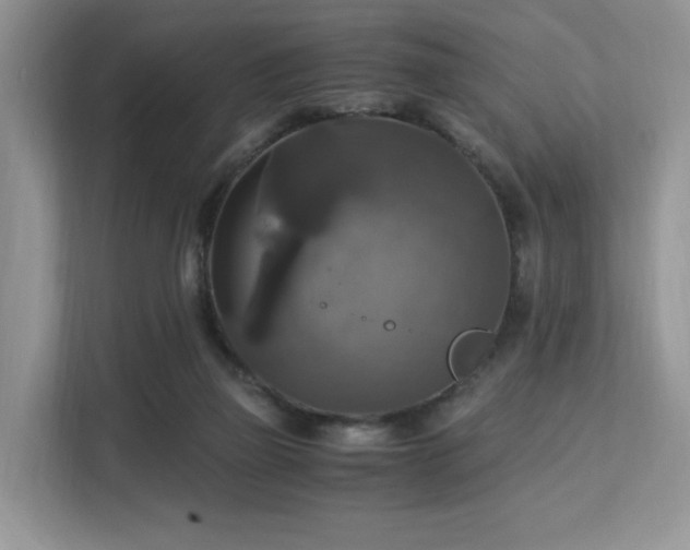 X0000113140165200909110941