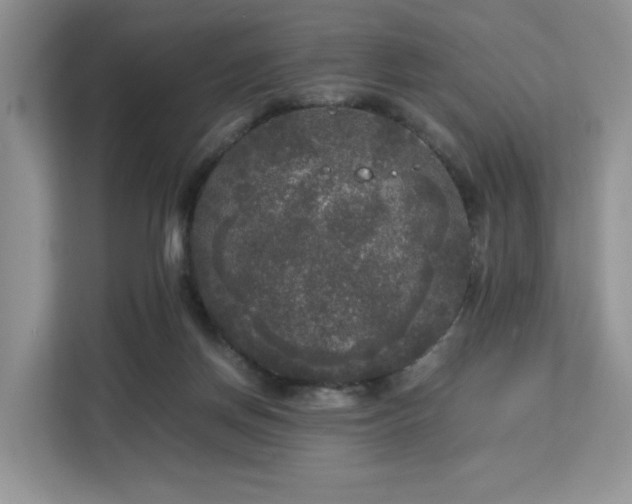 X0000113140166200909110941