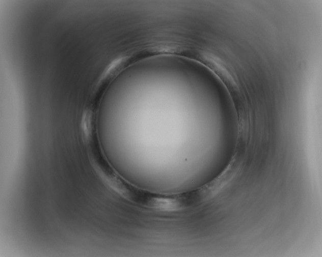 X0000113140167200909110941