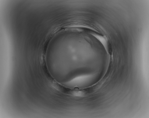 X0000113140169200909110941