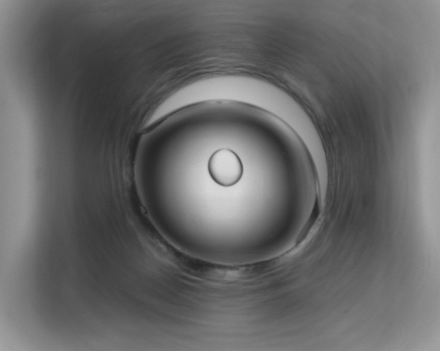 X0000113140170200909110941