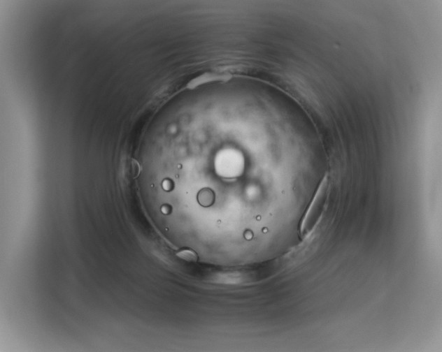 X0000113140171200909110941