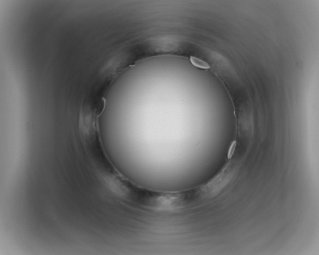 X0000113140172200909110941