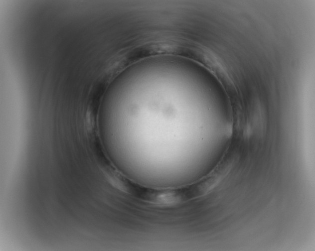 X0000113140173200909110941