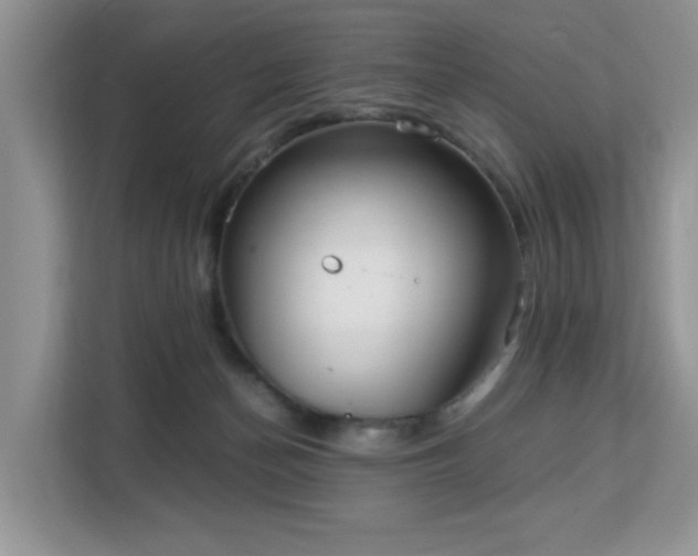 X0000113140174200909110941