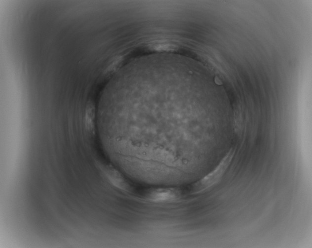 X0000113140175200909110941