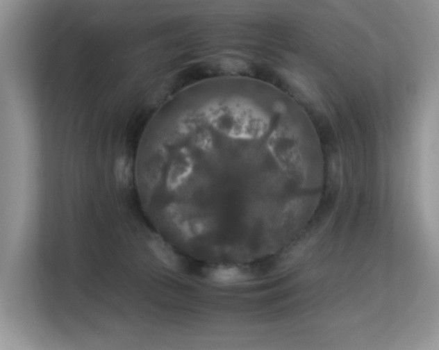 X0000113140177200909110941