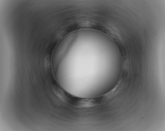 X0000113140179200909110941