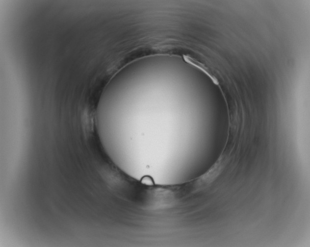 X0000113140180200909110941