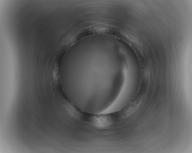 X0000113140181200909110941