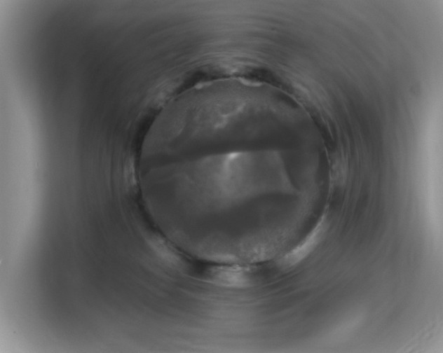 X0000113140182200909110941