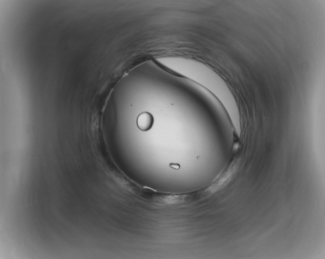 X0000113140184200909110941