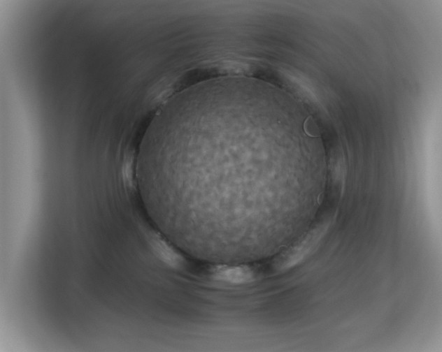 X0000113140185200909110941