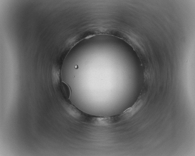 X0000113140188200909110941