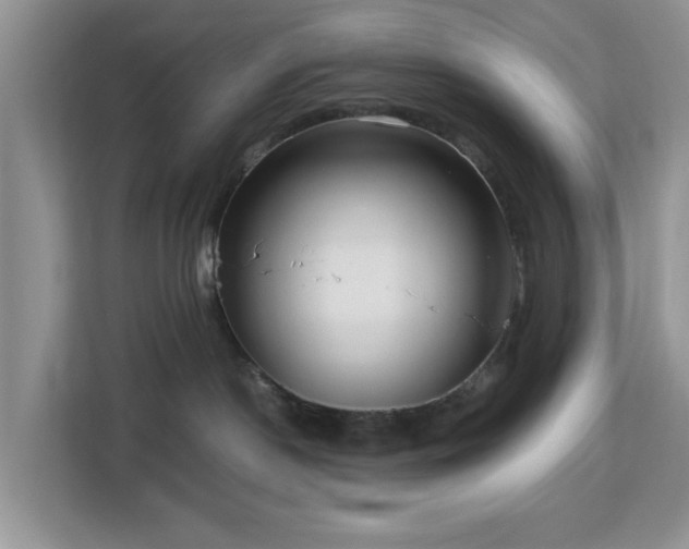 X0000113140190200909110941