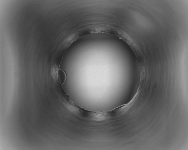 X0000113140191200909110941