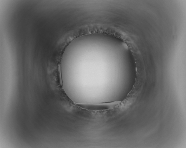 X0000113140192200909110941