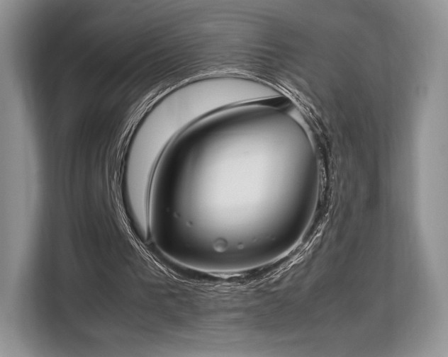 X0000113140193200909110941