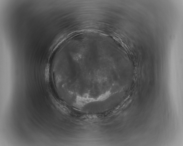 X0000113140194200909110941