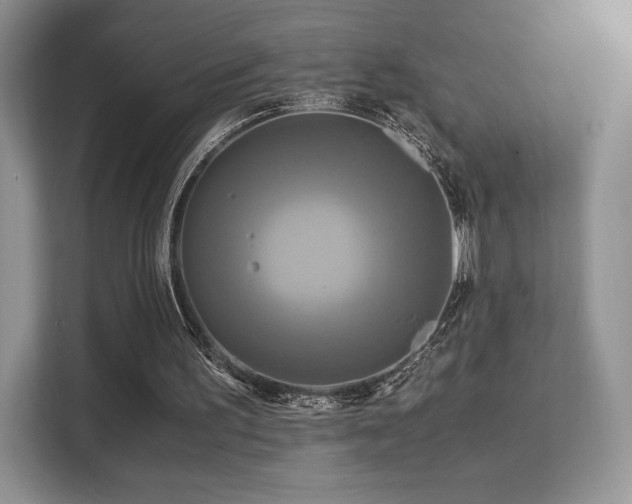 X0000113140195200909110941