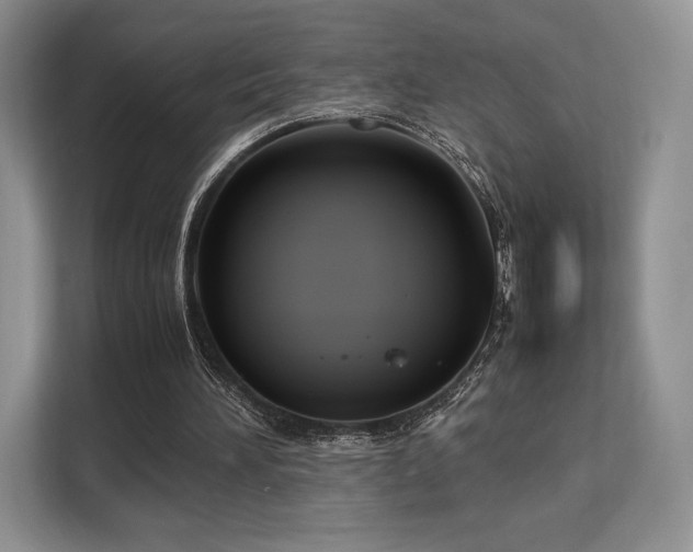 X0000113140196200909110941