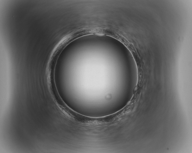 X0000113140197200909110941