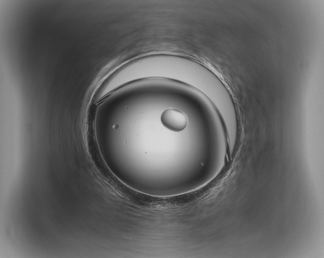 X0000113140199200909110941