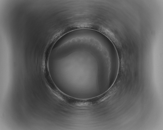 X0000113140202200909110941