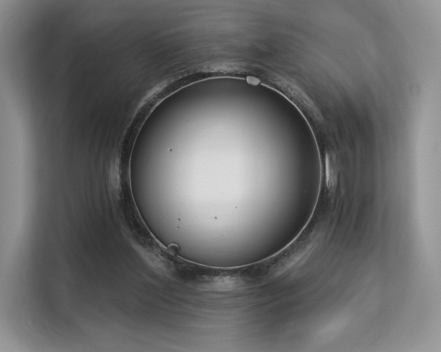 X0000113140204200909110941