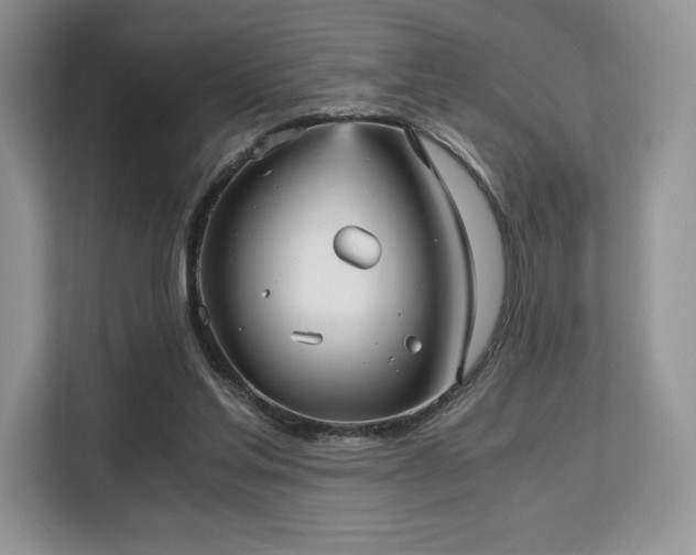 X0000113140205200909110941