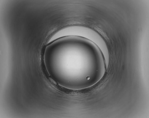 X0000113140207200909110941