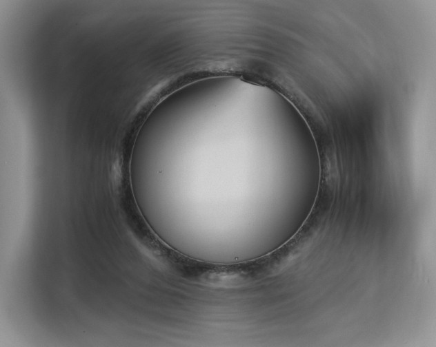 X0000113140208200909110941