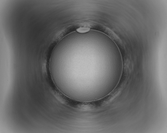 X0000113140209200909110941