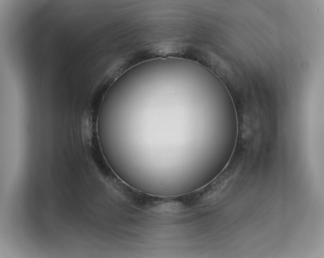 X0000113140210200909110941