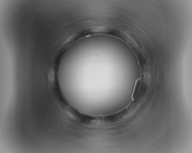 X0000113140211200909110940